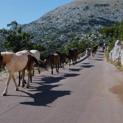 Skywalk Biokovo Tour Quads rent Makarska