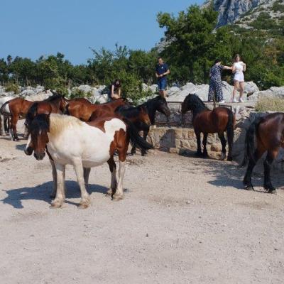 Skywalk Biokovo Tour Quads rent Makarska